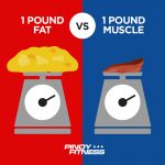 fat vs muscle