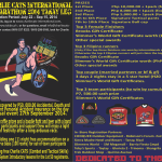 the-1st-charlie -cats-international-ultramarathon-63K-tanay-leg-2014-poster