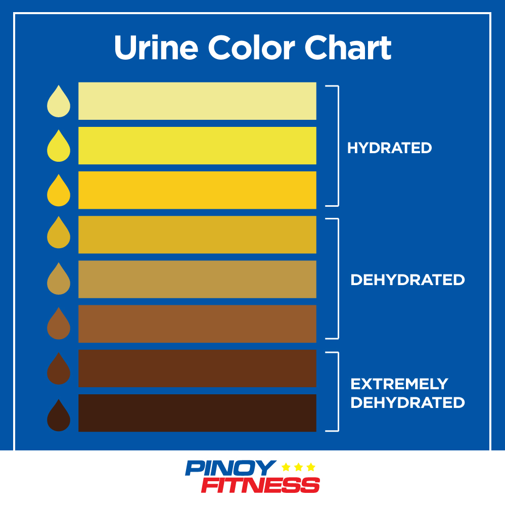 6 reasons why you should hydrate properly pinoy fitness