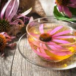 Echinacea Tea